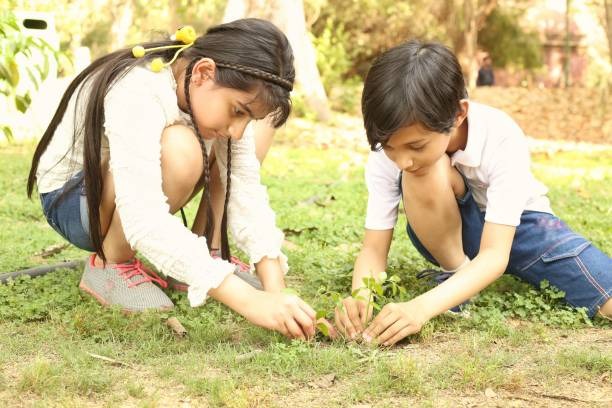 Exploring the Aesthetic and Scientific Aspects of Gardening